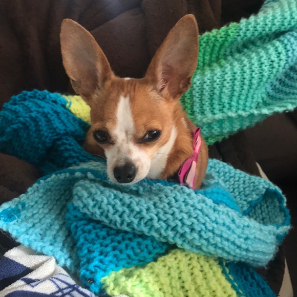 Meet your Posher, Ben - Picture 1 of 1